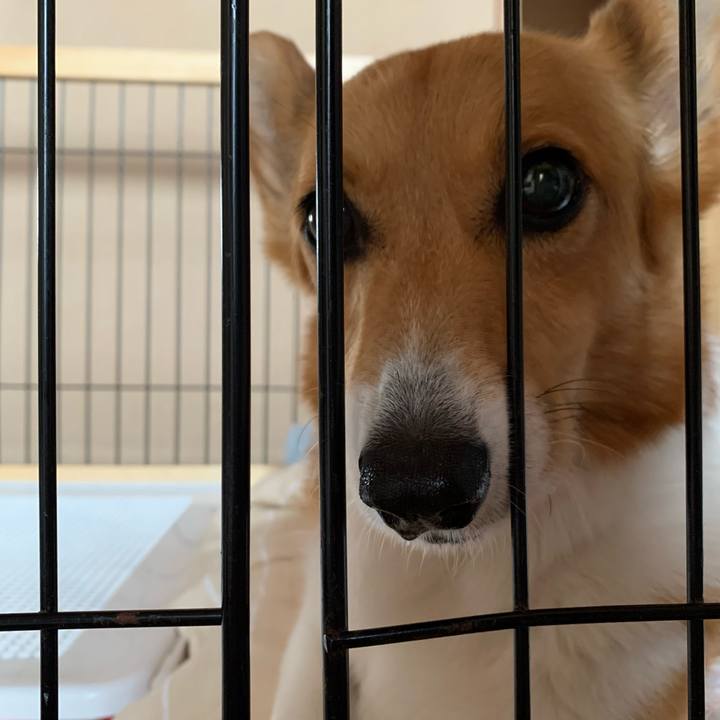 9e507741 6ec7 49a8 a351 54602e8b36d8 1621897630979