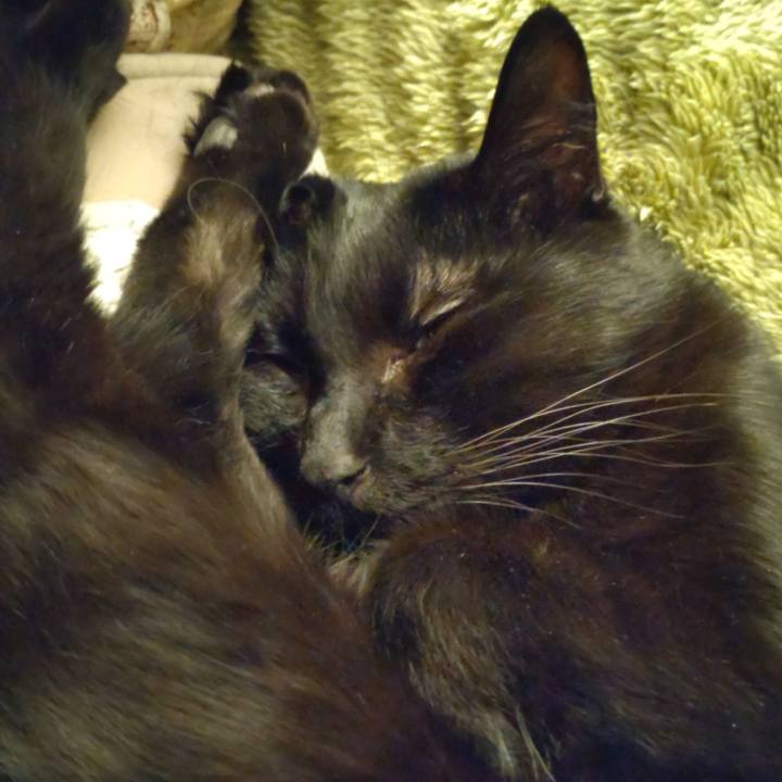 9e509fdf ef11 4ad5 86ac 2d680780f9f8 1640869924583