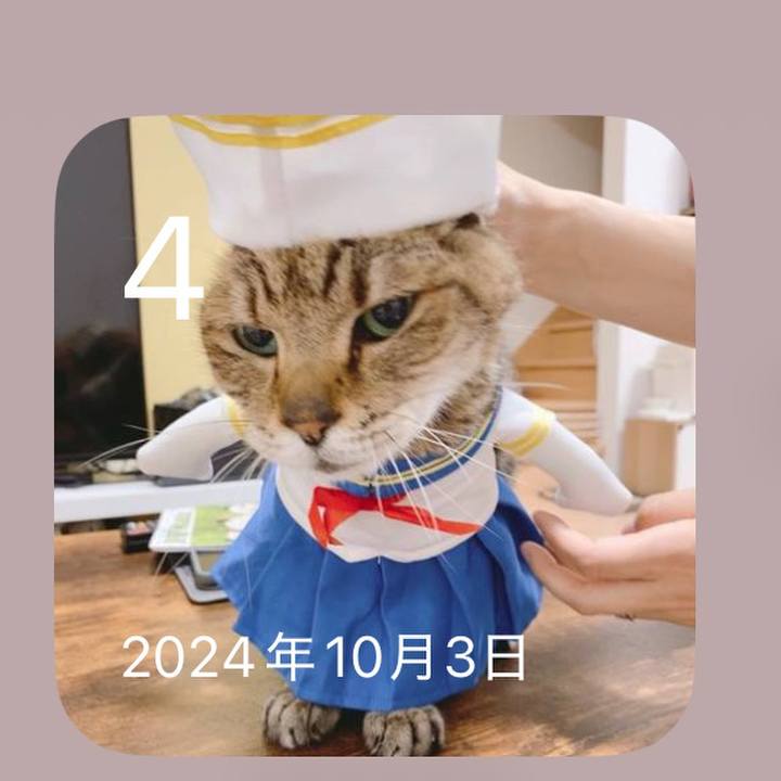 9e50a1b7 453a 45c4 bd0e 86c1da1c8f82 1759568832674