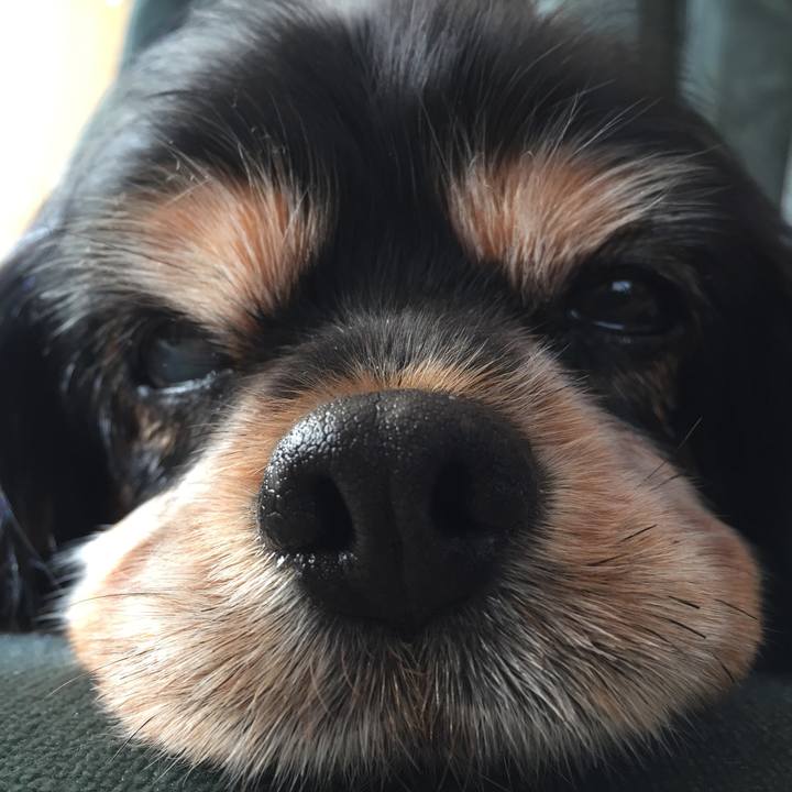 9e50aad6 33d6 4db4 b7ad b268884acfae 1527902135718