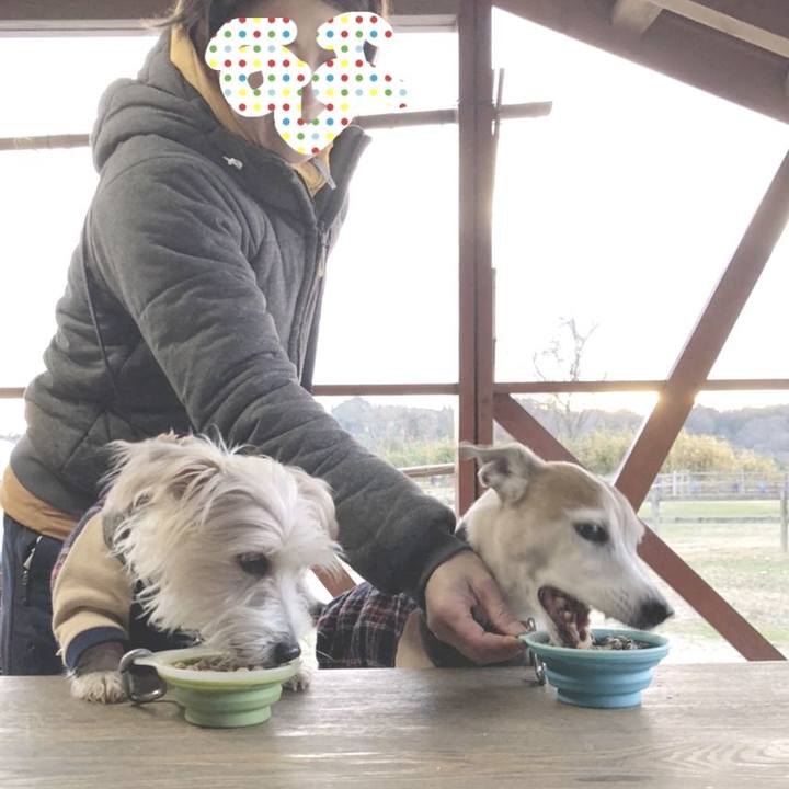 9e50aadc adb6 4a50 b57e 0817a567007d 1577840944132