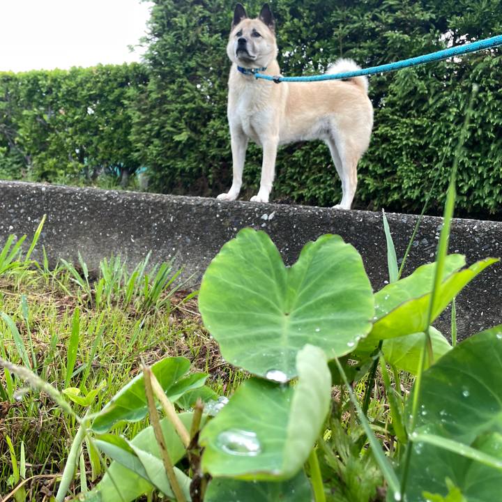 9e50ac53 f22e 4cbb baa6 de87bd04c07e 1686140319993