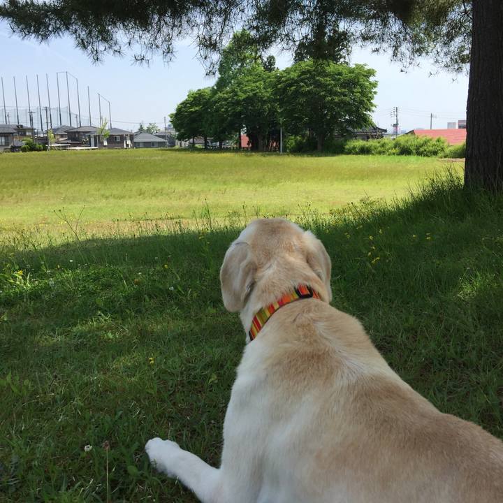 9e50bf59 0ff8 4255 bf3b be7868931037 1527558927624