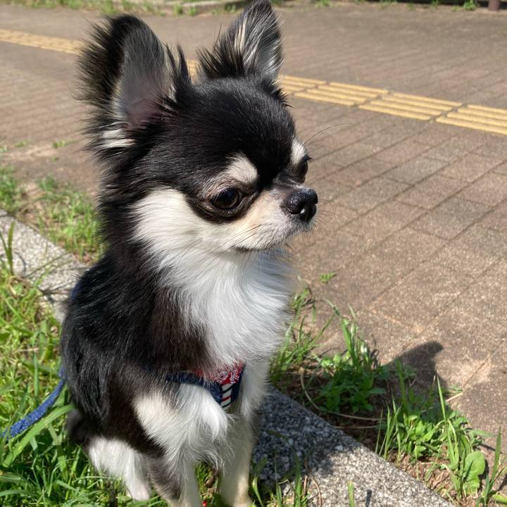 9e50eced 2b20 41c3 bae8 7670405423ea 1620534733730