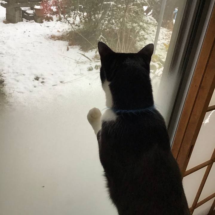 9e50f6a3 ec5f 4629 8784 32459339d71c 1707119817746