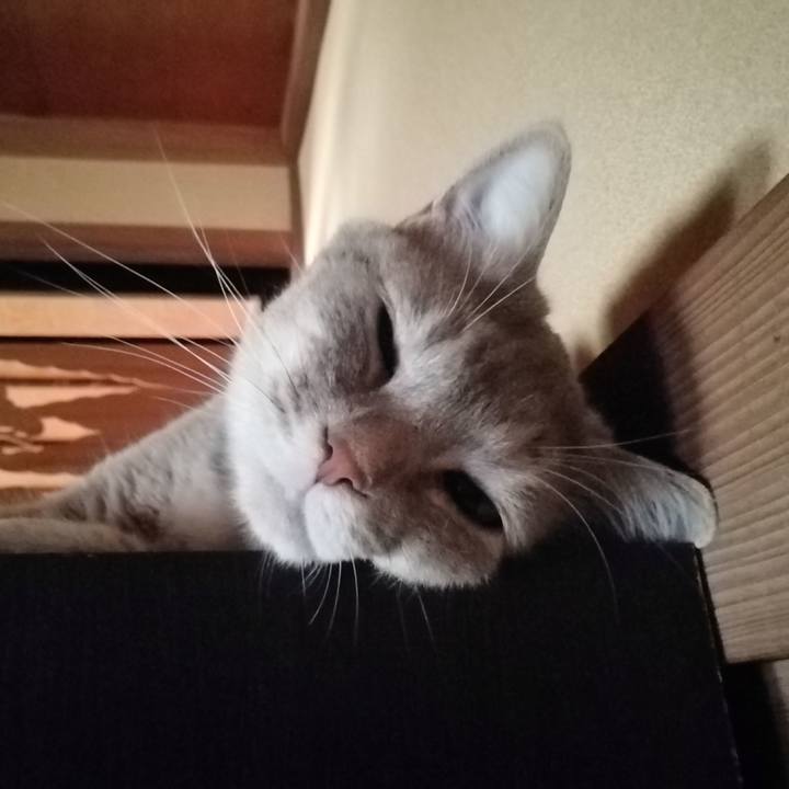 9e510aa5 ca27 4856 8b95 7a25bdb30009 1533338355476