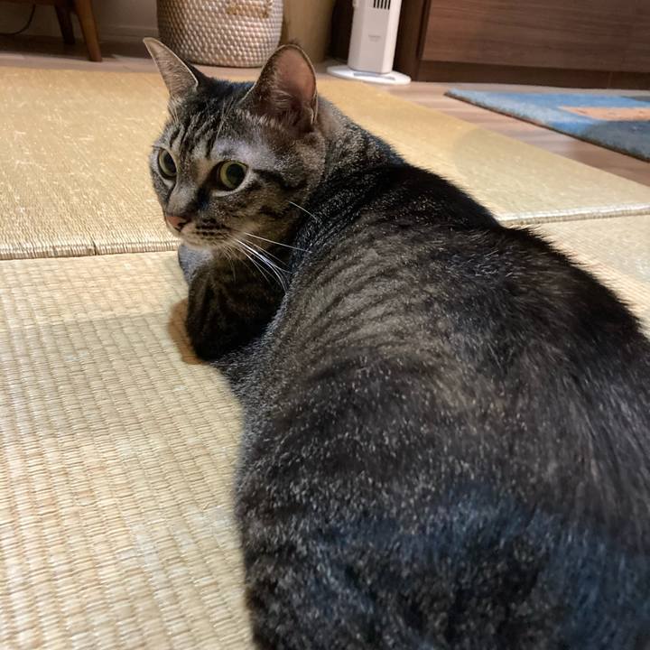 9e516e4d c749 4e5b 9dfa bb7bc50e5830 1599816985270