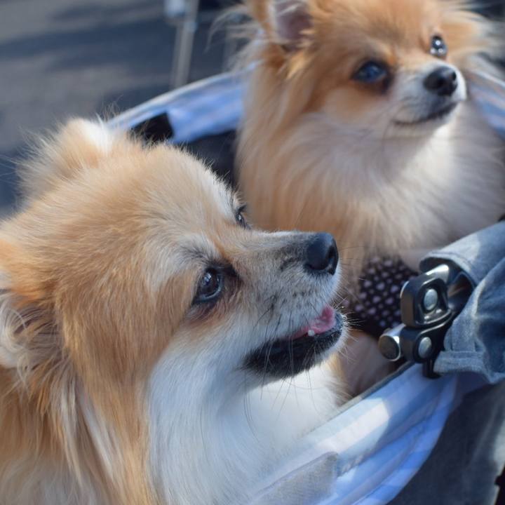 9e51802b c925 4836 a4a4 93aa05d03f13 1541309165495