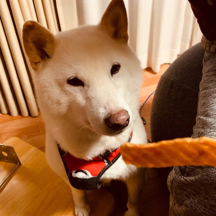 9e518615 5e48 4921 9151 83d0663780bc 1642665550604