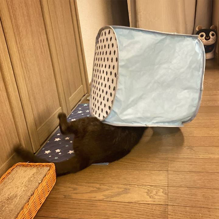 9e51ba6e f094 4b12 9113 aa155cb2e3d4 1619453137258