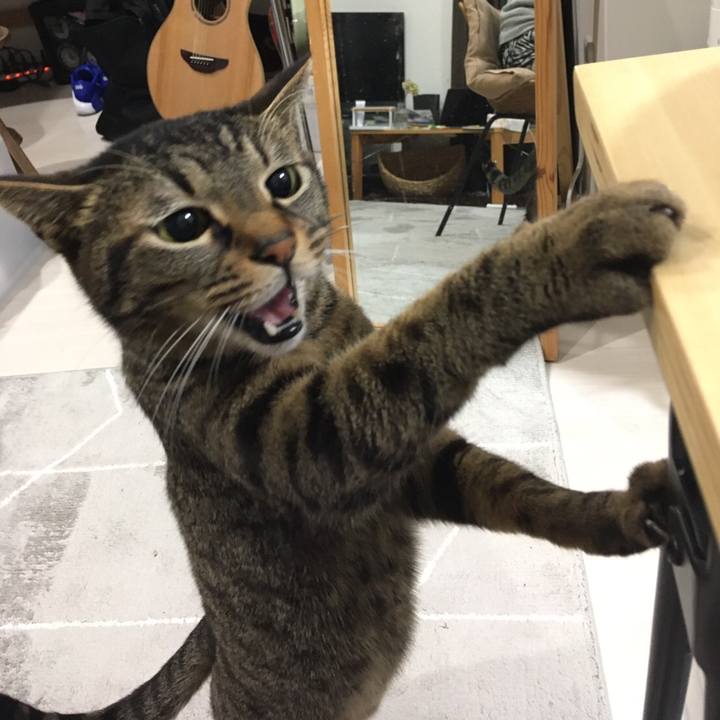 9e51fa22 4cf6 4229 8e3c a46a8e84a2a7 1587223340277