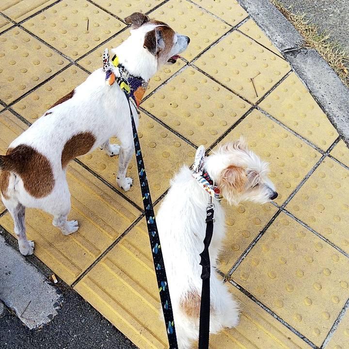 9e5201d4 543c 47e5 b41d 04fbb08d1210 1565568124586