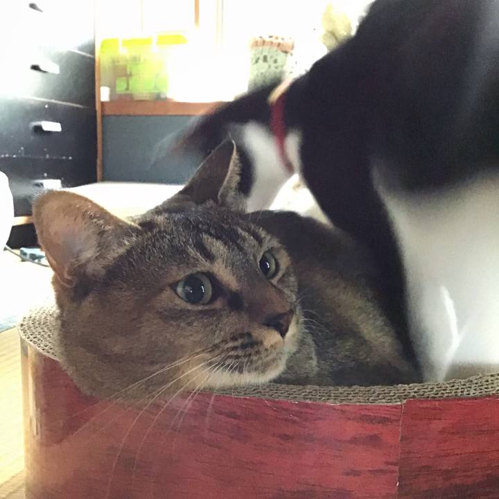 9e523efb bba9 4c5c 83b2 80f759be2285 1629098347210