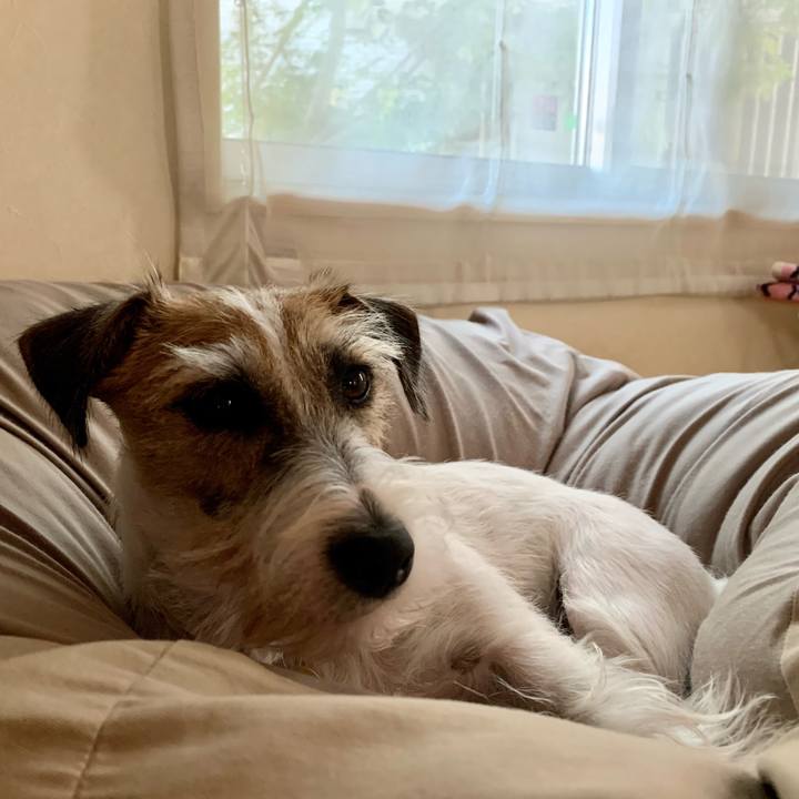 9e52600a 84ee 4757 b2af 0d3710c46368 1603786058226