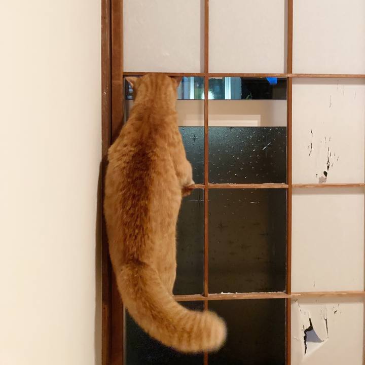 9e52667c f13f 411c 877a 2602d2b461bf 1599871381221