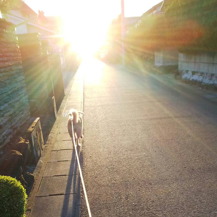 9e527597 213f 4873 8d61 c5f9cf6a73c2 1533807300542