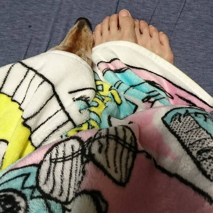 9e52ceba c5ae 44cc af04 b073d0e08750 1543337239990