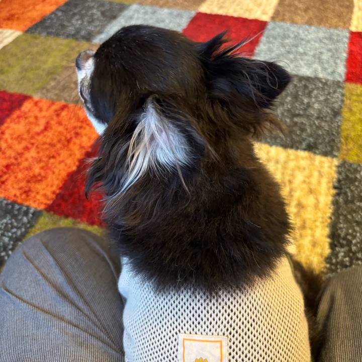 9e52d0e9 6f4a 422e b924 fdd510d6117a 1751734739494