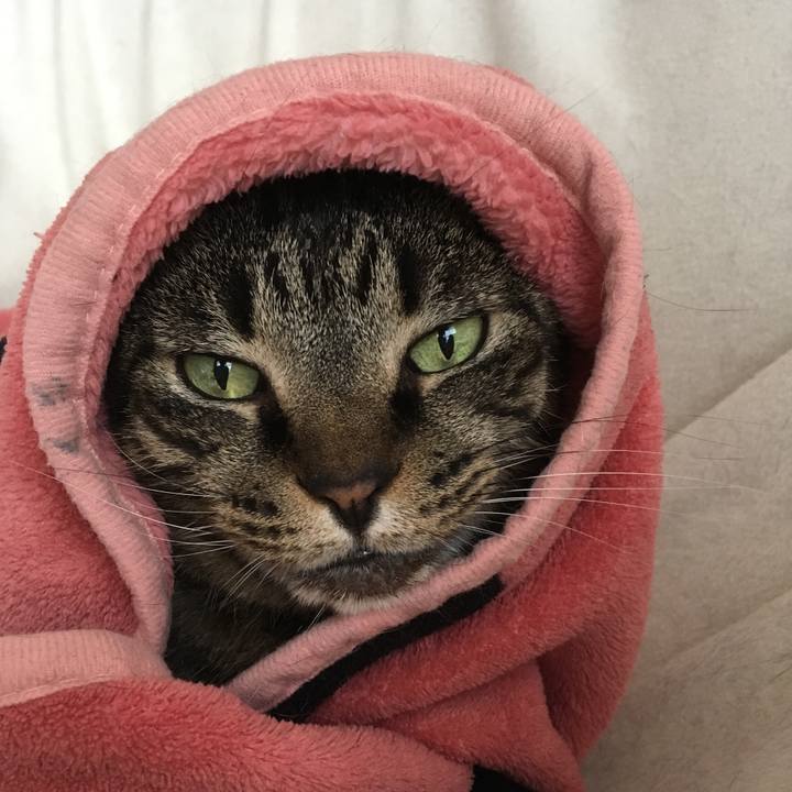 9e52d4f9 0fbd 47c8 b7b9 ad343d8380a2 1509147119236