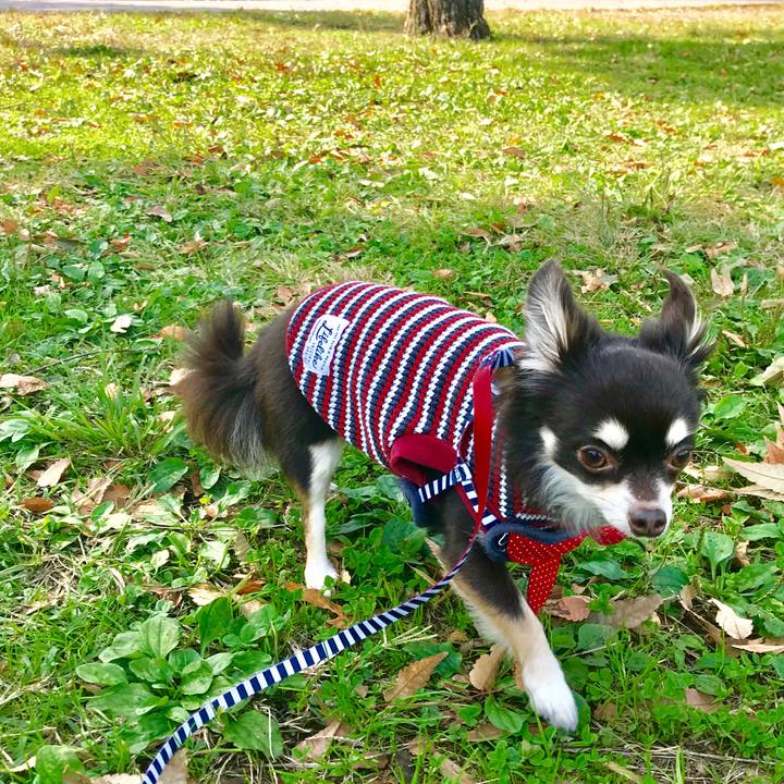 9e52e7e7 0dbe 4b9d 92f3 01a4d5176ad6 1510358454645