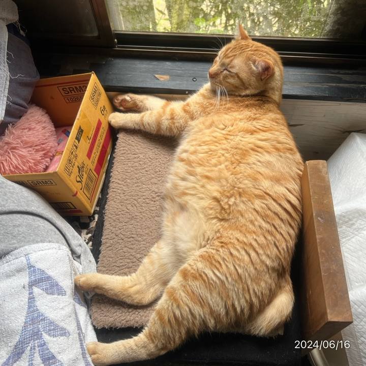 9e534dff 9d56 4099 8100 e5d9c244db95 1718503190200