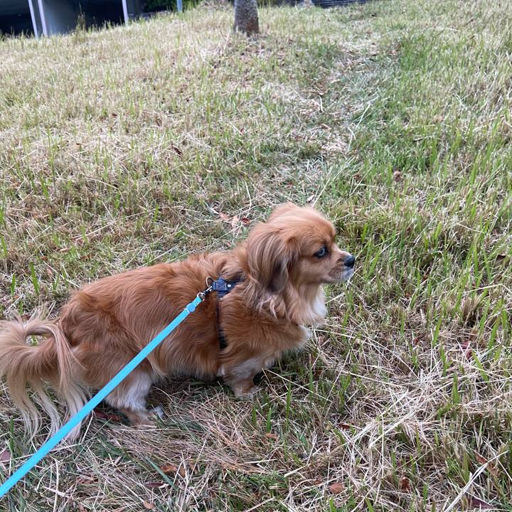 9e535547 f8f6 4746 a98e 2a7fb3ee1337 1604268706067