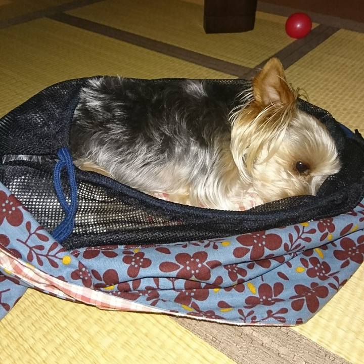 9e53a46d dc4a 43fb b918 5bec6da2d0c7 1528546823712