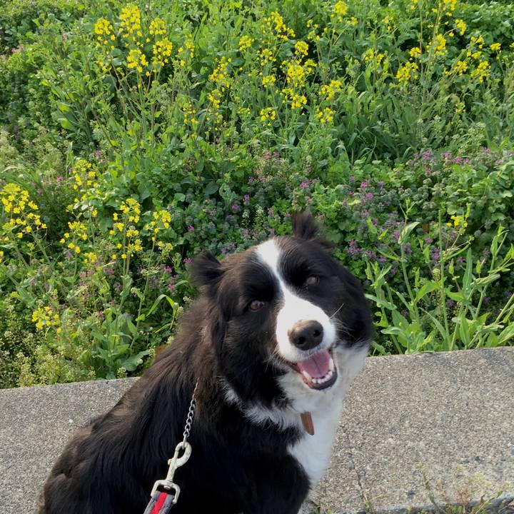 9e53c815 b508 4027 a3bc 0a1316a6d67f 1521068229664