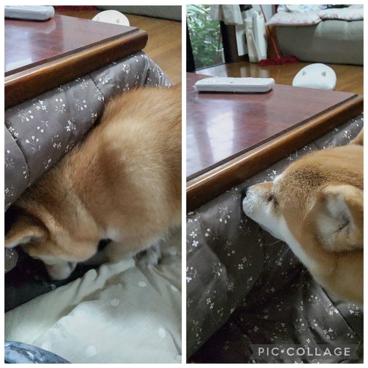 9e53cd99 9082 4c3d 8484 02a305e6d045 1761119054588