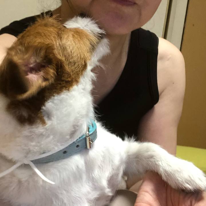 9e53e55a 72a0 4923 a24a f9c9754745c8 1562493319686