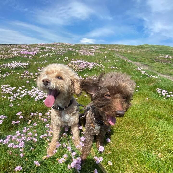 9e542308 a7ca 4f58 920a a5f5c620fb53 1622464559515