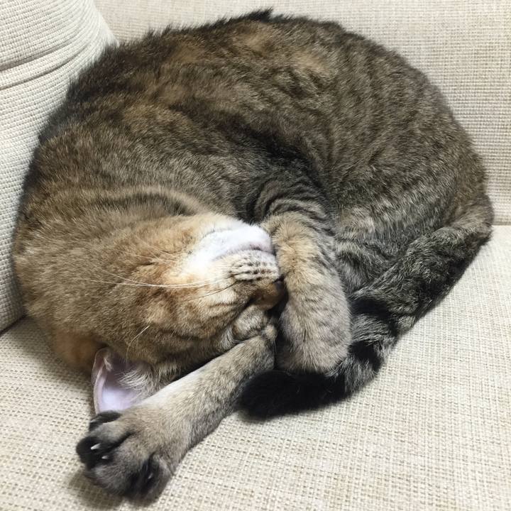 9e5424b4 fb5a 4c4e ae75 5aa4635b3a2e 1593301651856