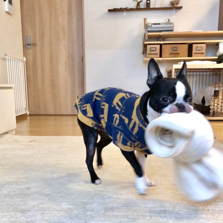 9e543ff5 a59e 4eb7 adcd bb7329b8721c 1521508677489