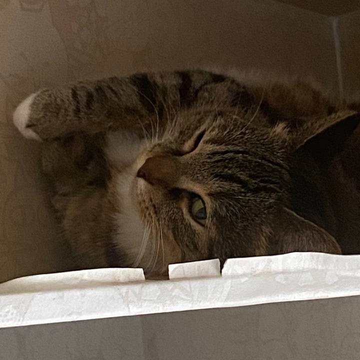 9e5446bf 38e0 45b2 9439 a40629231098 1595466676879