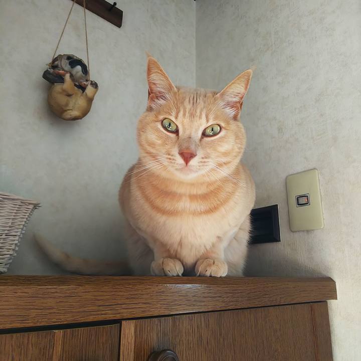 9e54633b 2c01 41b0 8e9a 5a9818893a3a 1669164531293