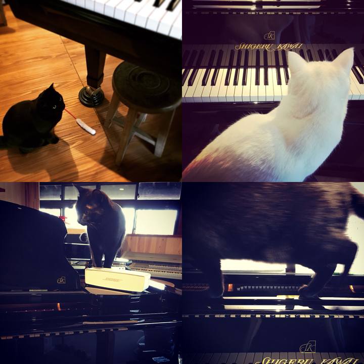 9e54cd5d 03a4 4911 bfbf d0aa3faf8e13 1516246671952