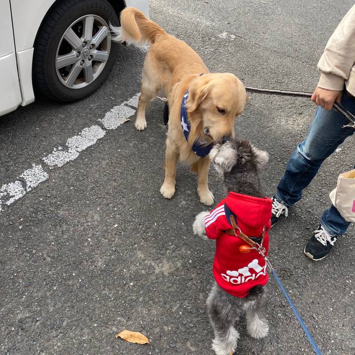 9e54cea1 294c 432e aaa0 2469082154fd 1576390186307