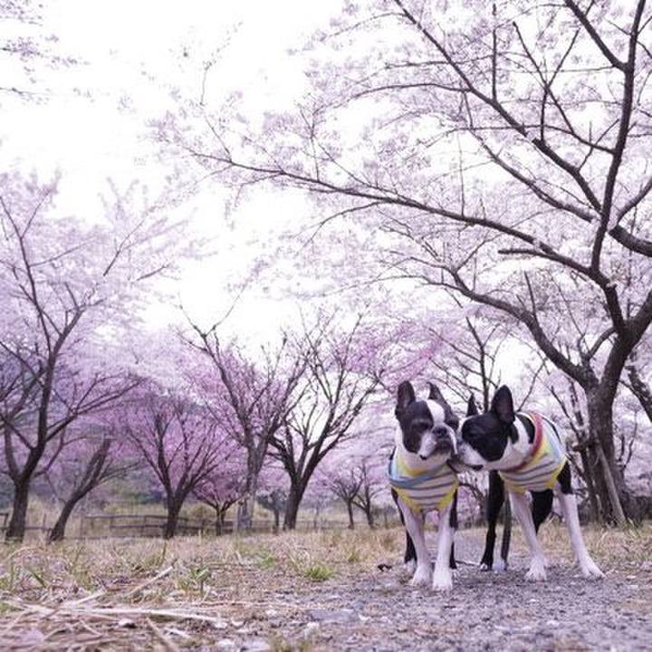 9e54daa2 d3f0 482c badb 61a988c7a416 1523000556433