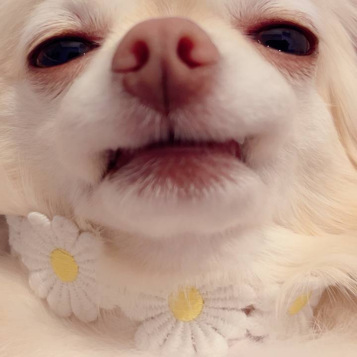 9e54dfa2 cd28 4507 93ef 6ccfdddb0d00 1718456673192