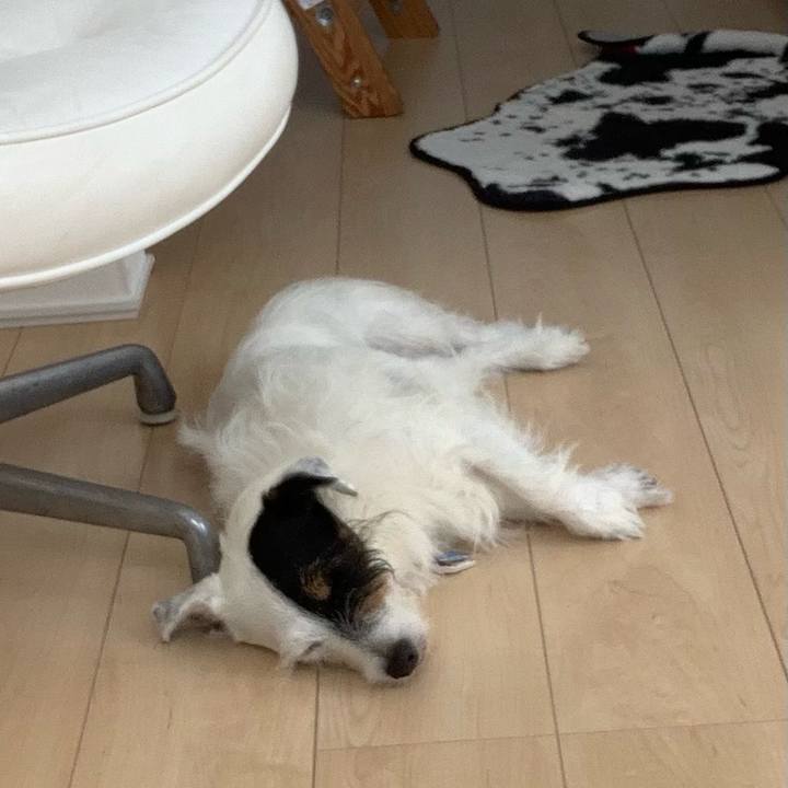 9e55077e 1673 4a5c bb6d 1c2fc516f8e3 1626409527224