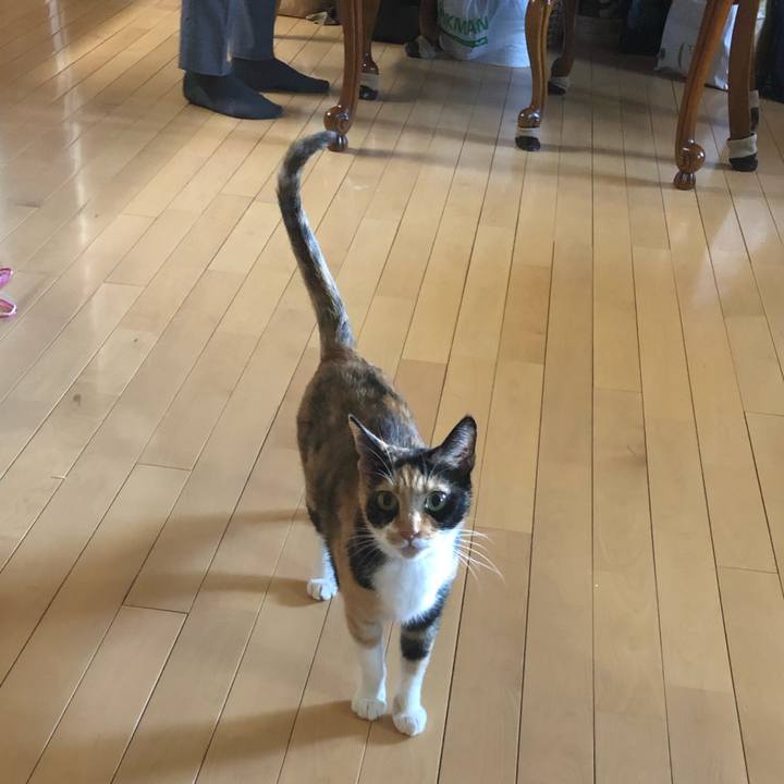 9e553219 4c9a 486c a978 23769e589760 1562540193546