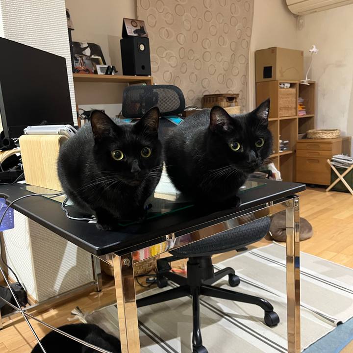 9e55380b 1d81 47c9 a1c9 ebcc2e167a4b 1665223446399