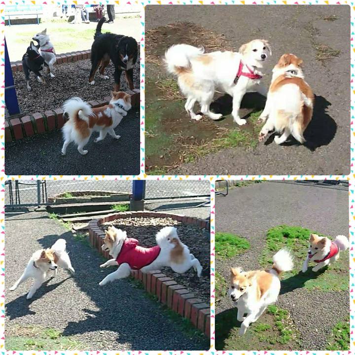 9e55651e c299 422f 8894 c7dee1cad989 1520815826363