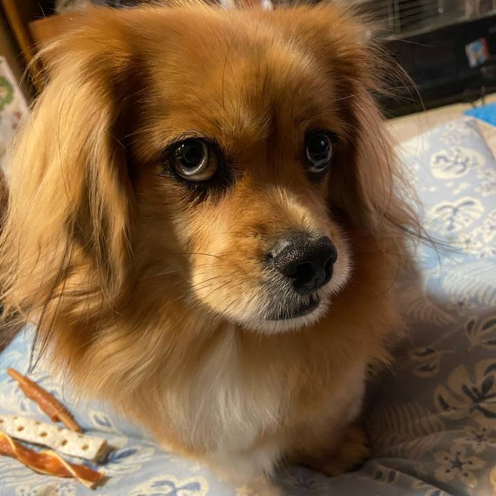 9e557381 32ad 4248 84eb 52eca905bee6 1606948090462