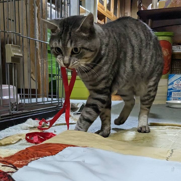 9e55924d be76 452f afc6 ccfbd14ce293 1697370956625