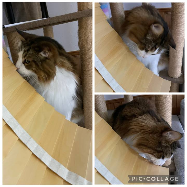 9e559922 5c81 40f2 9eda 38d508c0e4d2 1762461170408