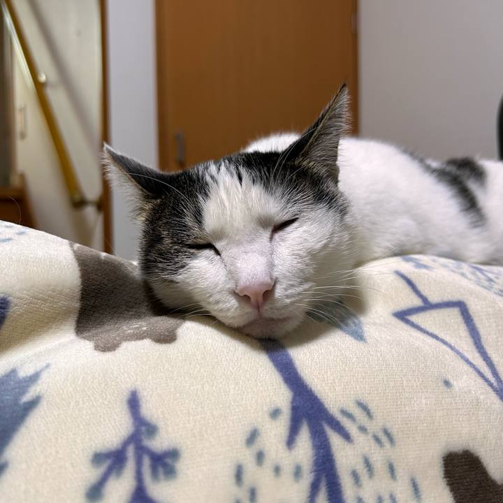 9e559d0b 2db1 44d8 8f08 d8820aa4ea55 1730239214169