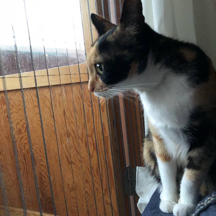 9e55b0db 6d3a 4b9e 8f0b a1b7ede0937d 1526561762303