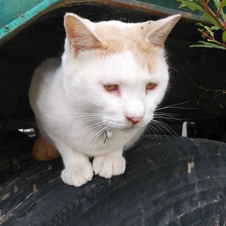 9e560559 21bc 41cd b9c1 3d01066fc624 1603758468928