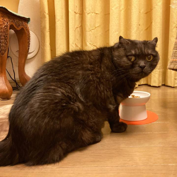 9e560cc3 2646 4652 b86e 927fa98cc278 1589039155950